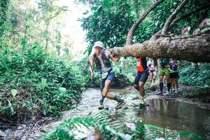 BIB: 
                            <button type="button" onclick="openModal(25443177)" class="btn btn-primary btn-sm float-right btn-popup" data-toggle="modal" data-target=".modal-high-quality">
                        <i class="fas fa-shopping-cart"></i> Add to Cart
                    </button>
                                            <button type="button" onclick="isThisMe(25443177, true)" class="btn btn-success btn-sm float-right btn-popup btn-isme hidden" data-toggle="tooltip" data-placement="bottom" title="นี่คือรูปของคุณใช่ไหม คลิกที่นี่เพื่อเอาเข้าอัลบั้ม">
                        <i class="fas fa-plus"></i> Add to album
                    </button>
                    <button type="button" onclick="isThisMe(25443177, false)" class="btn btn-warning btn-sm float-right btn-popup btn-isnotme hidden">
                        <i class="fas fa-ban"></i> Remove from album
                    </button>